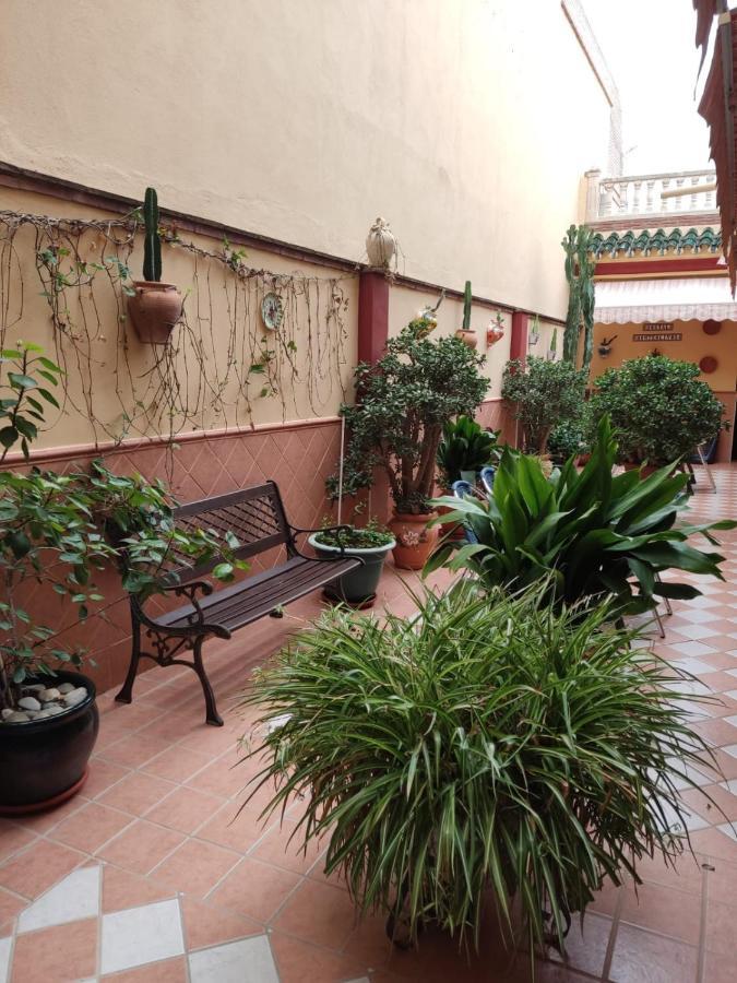 Hostal Monteolivos Cártama Zewnętrze zdjęcie